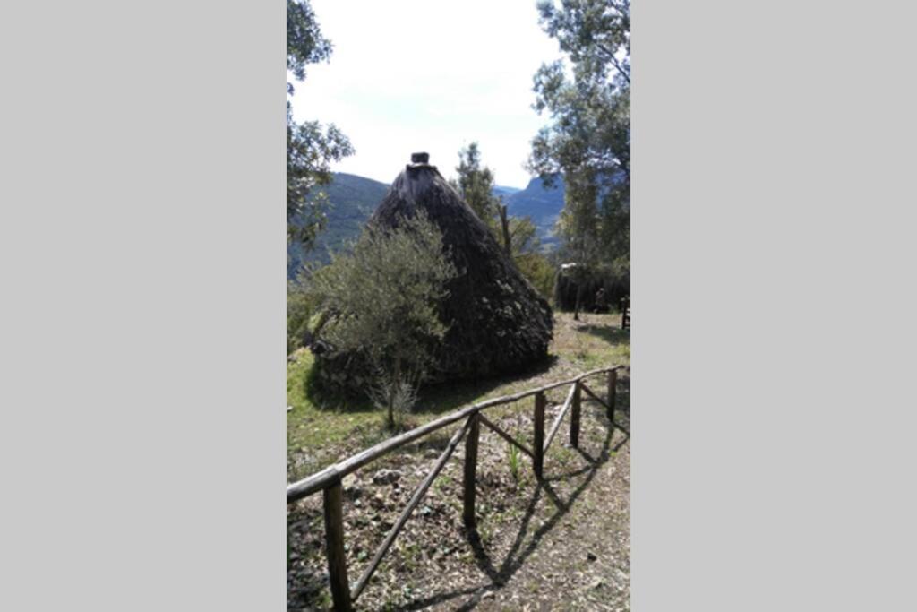 Ferula Romantica Mansarda Tra Fiumi E Montagne Sardegna Seulo Ngoại thất bức ảnh