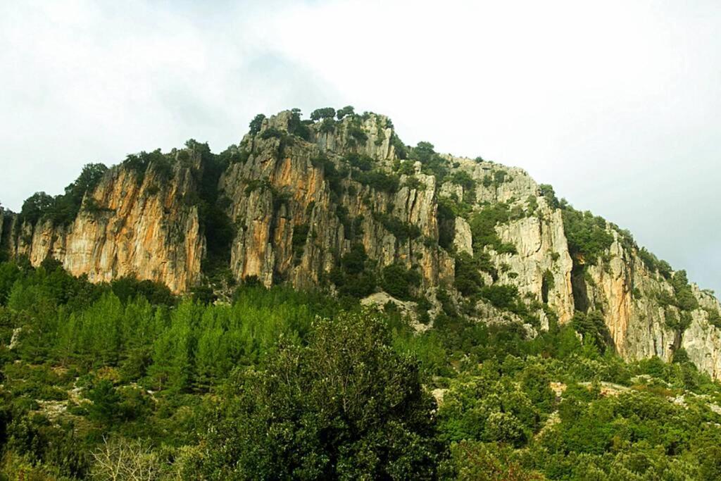 Ferula Romantica Mansarda Tra Fiumi E Montagne Sardegna Seulo Ngoại thất bức ảnh