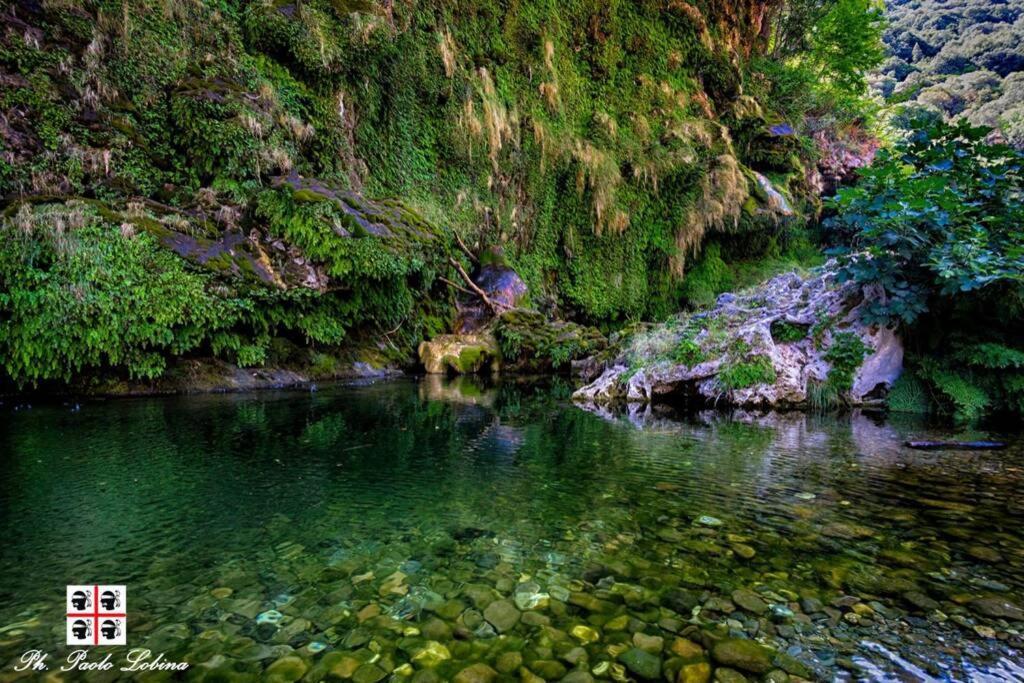 Ferula Romantica Mansarda Tra Fiumi E Montagne Sardegna Seulo Ngoại thất bức ảnh